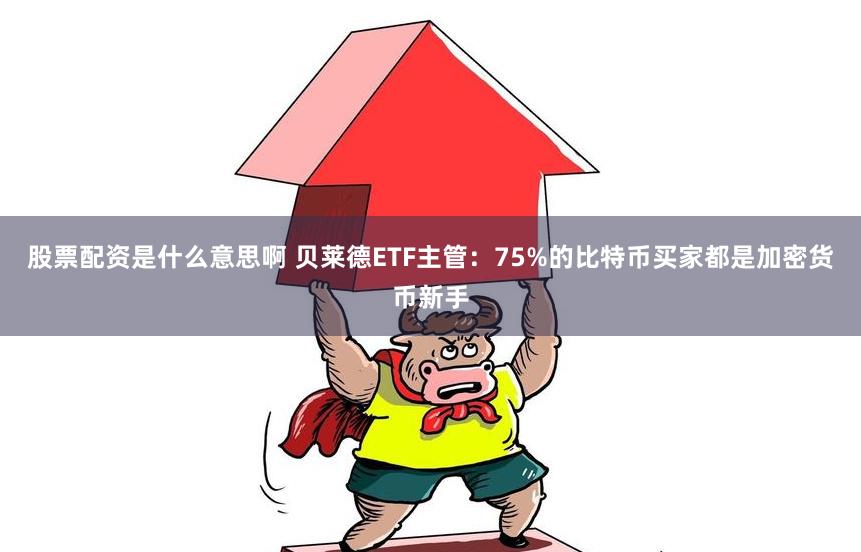 股票配资是什么意思啊 贝莱德ETF主管：75%的比特币买家都是加密货币新手