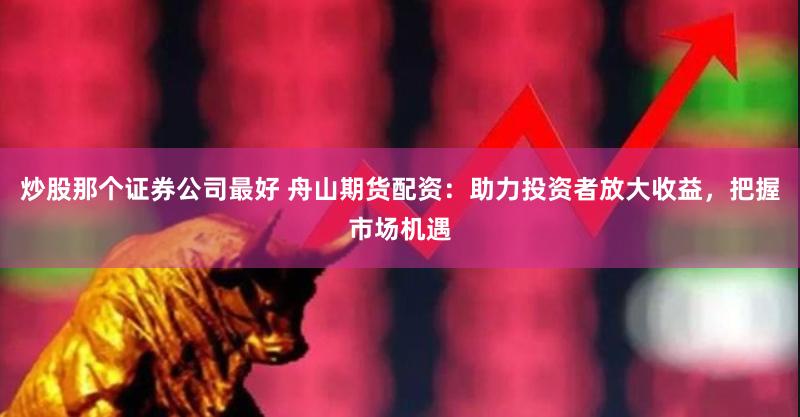 炒股那个证券公司最好 舟山期货配资：助力投资者放大收益，把握市场机遇