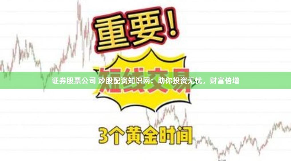 证券股票公司 炒股配资知识网:助你投资无忧,财富倍增